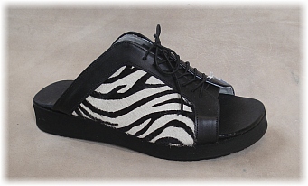 slide_zebra
